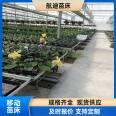 Hot dip galvanized mesh movable seedbed for greenhouse planting of Phalaenopsis, manufactured by Hangdi with excellent quality