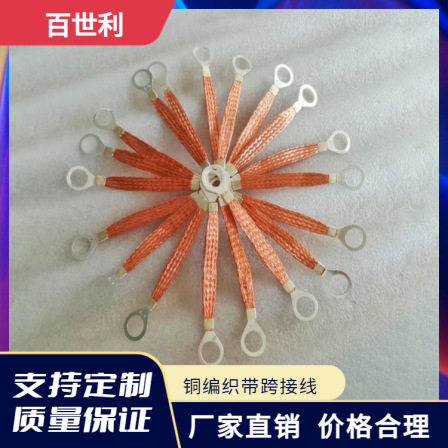 Stainless steel explosion-proof flange electrostatic jumper wire with high conductivity, tin plated copper braided tape connection wire for bridge frame