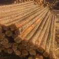 Yizhan Wood Industry has a high hardness and no deformation of wooden piles in the riverbank, which can be processed by its own forest farm