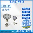 KROM Hockett pressure gauge RFM P10TNB63 connection detection gas pressure switch control