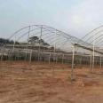 Simple greenhouses for planting blueberries, Pitaya greenhouses, large scale construction, firm structure