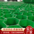 Reinforced lawn brick sidewalk ecological parking lot plastic grass grid green grass brick 70H