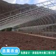 Edible mushroom planting greenhouse with C-shaped steel frame, double beam and double membrane design, strong resistance to wind and snow, stable and durable