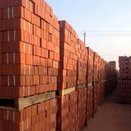 Production of ordinary non clay sintered porous bricks for Taobo municipal road paving B00326