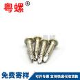 Wholesale square hole self tapping and self drilling screws, stainless steel American internal square lock tail screws M2.5 M3 M4 M5