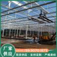 Building a plastic greenhouse with strawberries and grapes for rain protection. The film has good transparency and is fast to install