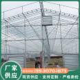 Simple greenhouses for planting blueberries, Pitaya greenhouses, large scale construction, firm structure