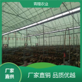 Qingcheng Agriculture Sunlight Sunshade and Insulation Greenhouse Mushroom Canopy Single Reflected Modern Planting Shed