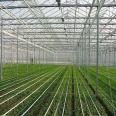 Jinlisen Steel Pipe Greenhouse Pipe Bending Vegetable Breeding Sunlight Greenhouse Greenhouse Multi span Arch Canopy Galvanized Round Pipe