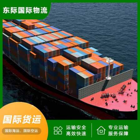 Guangzhou Sea freight to Singapore Special Line International Amazon Air Freight Double Clear Package Tax East International