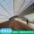 Edible mushroom planting greenhouse with C-shaped steel frame, double beam and double membrane design, strong resistance to wind and snow, stable and durable