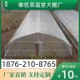 New style grape planting shed, off-season fruit greenhouse, single arch greenhouse, greenhouse pipe spot, Taiyouyi factory