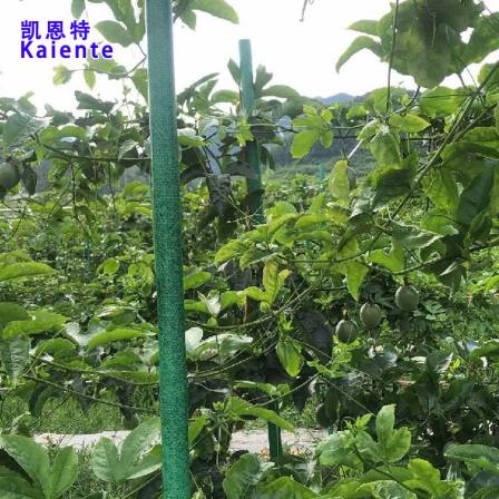 Kaiente 32mm hollow passion fruit support rod color length can be determined Schisandra chinensis support column