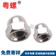 Dome Nut Customized Hexagon Decorative Nut Wheel Screw Decorative Nut M4 M5