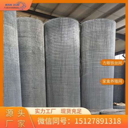 Wanxun Welding Breeding Galvanized Welding Mesh Construction Wall Plastering Steel Wire Mesh Plastering Iron Wire Mesh Selected Manufacturer