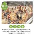 Useful poultry specific lice, mites, spirits, chicken lice, net wholesale, chickens, ducks, and geese specific