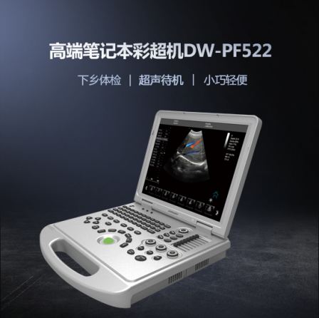 Medical Color Doppler Ultrasound Machine Laptop Color Doppler Ultrasound Public Health Examination Color Doppler Ultrasound Equipment DW-PF522