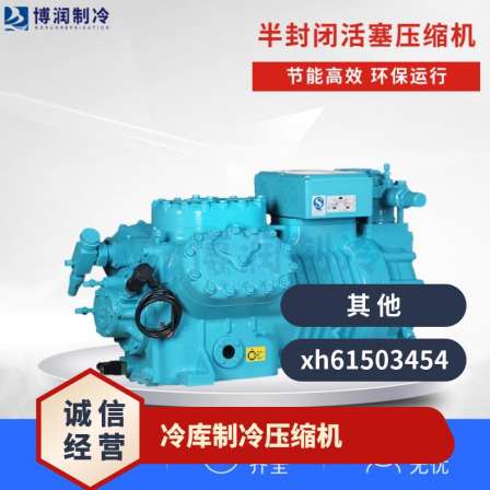 Customized design for the large four cylinder piston engine 4DC-5.2ZR of Bosebolite refrigeration compressor