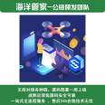 Blockchain public chain development costs: Lingxiu Giant Computer provides one-stop services for public chain development issues