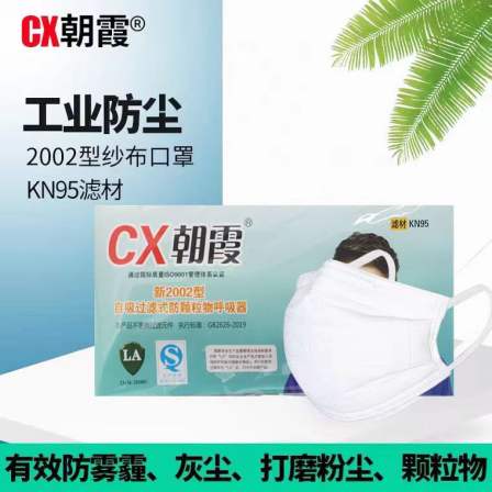 Chaoxia New 2002 Dust Mask KN95 Pure Cotton Gauze Polishing Dust Mask Decoration Particle Mask