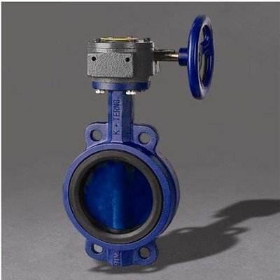 Wafer type Worm drive cast iron turbine butterfly valve D371X-10/16 manual DN50 80 100 150 200 250