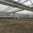 Customized film multi-span greenhouse with large lighting area for fruit and vegetable farming in greenhouses