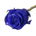 Rose Flower Coloring Agent Blue Rose Dyeing Agent Blue Maggie Dye