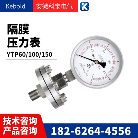 Quick fitting stainless steel sanitary diaphragm pressure gauge YN100BF-MC 0.6MPA material 316