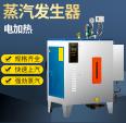 Fully automatic electric heating steam generator for concrete curing and chemical engineering in brewery and food factories