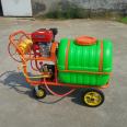 Gasoline disinfection pesticide sprayer Farm disinfection and sterilization spray Fruit tree pesticide sprayer