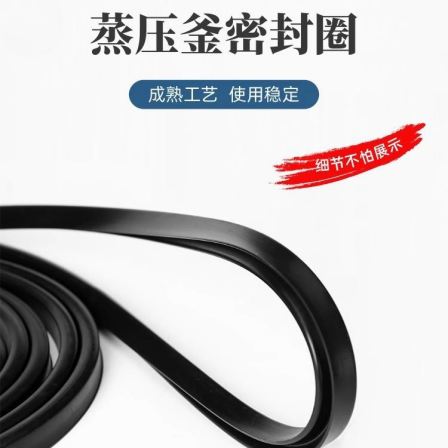 Autoclave seal ring, high temperature resistance, Autoclave door gasket, autoclave leather ring, rubber band