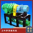 Support the processing of customized cast steel energy-saving three blade roots blower MSR150