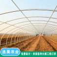 Winter Warm Strawberry Planting Greenhouse Elliptical Pipe Framework Galvanized Flat Pipe with Strong Compression Capacity Spanned Arch Greenhouse