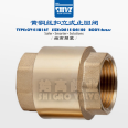 Brass vertical check valve H12X-16 copper wire thread check valve initial high valve