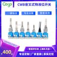 CWB18 limit tuning fork level switch is economical, intelligent, and explosion-proof, suitable for various liquid measurements