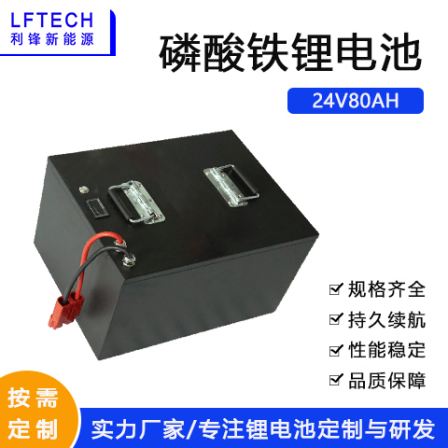 Supply 24V Lithium iron phosphate battery pack 48V golf cart electric sightseeing four-wheel patrol car lithium battery