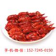 Baolong Aquatic Products Production Good Goods NK2 Xinliangji Crayfish 600g * 3 Garlic Spicy 18-25 pieces SF Express Package