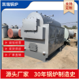 Factory supply DZL6-1.25-T biomass steam boiler chain grate particle industrial boiler