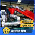 Wanshuo Machinery 240 Pelletizer High configuration PE PP Pelletizer Plastic Pelletizer Complete Equipment