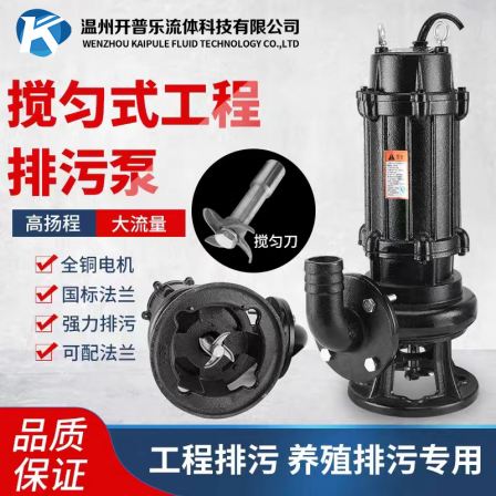 30416L stainless steel sewage pump kaipole non clogged pipeline sewage pump energy-saving variable frequency floating ball automatic BT4