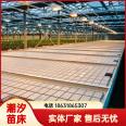 Greenhouse shallow liquid flowing water cultivation of green leafy vegetables, tidal seedbed soilless cultivation and seedling facilities directly provided by the manufacturer