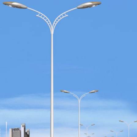 8-meter parallel arm dual lamp head municipal LED street light New rural high pole road lighting light Xinyonghong