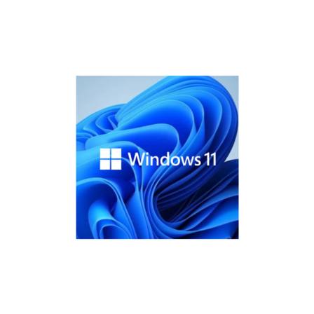 Microsoft Genuine Windows 11 Operating System Professional Edition Multilingual