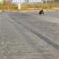 Fiberglass geogrid for preventing cracks on road surface, 50kn2 warp and 2 weft for old road renovation