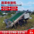 Agricultural greenhouse vegetable harvesters for large-scale leafy vegetable harvesting equipment increase harvesting efficiency machines