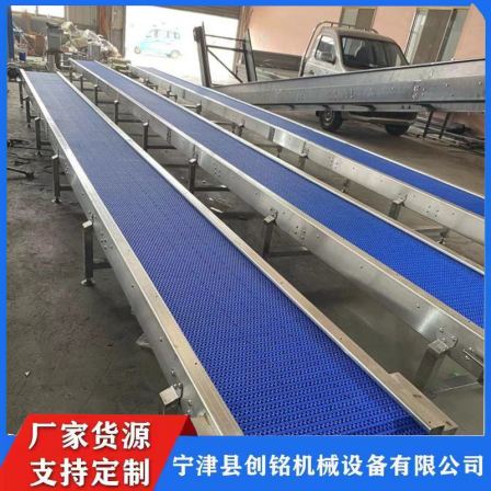 Customized food conveying line by manufacturer, conveyor belt, plastic chain conveyor, express logistics sorting line