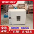Laboratory blast drying oven, oven, electric constant temperature vacuum drying oven, manufacturer supports customization