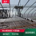 Remote control hanging seedling watering cart for agricultural greenhouse sprinkler irrigation system