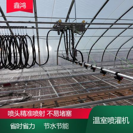 Remote control hanging seedling watering cart for agricultural greenhouse sprinkler irrigation system