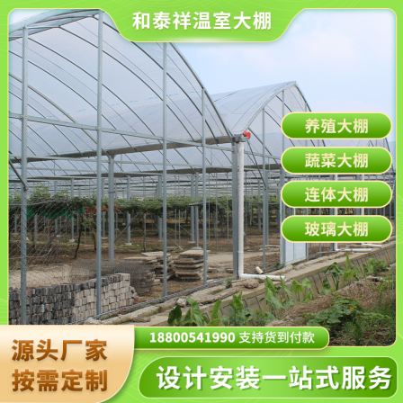 Intelligent multi-span glass greenhouse design with customizable glass greenhouse size and Taixiang Metal